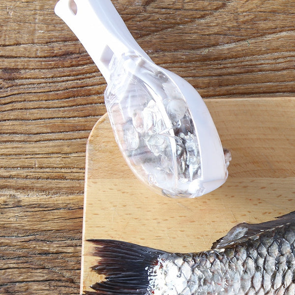 Fish Cleaning Scraper - Little Home Hacks